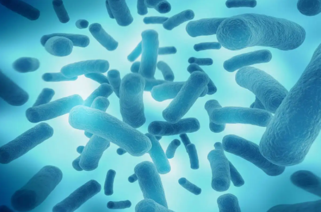 医疗器械包装之微生物屏障实验