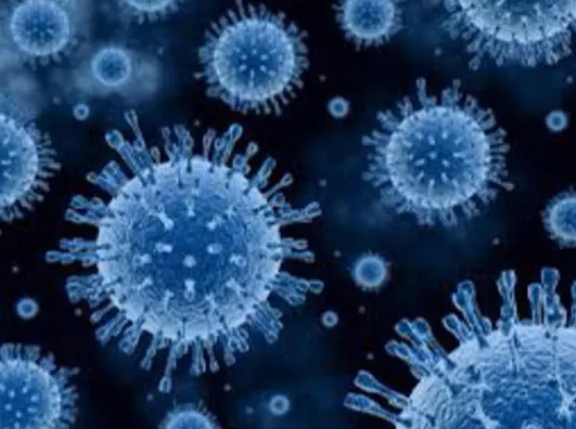 甲型流感病毒H1N1灭活检测
